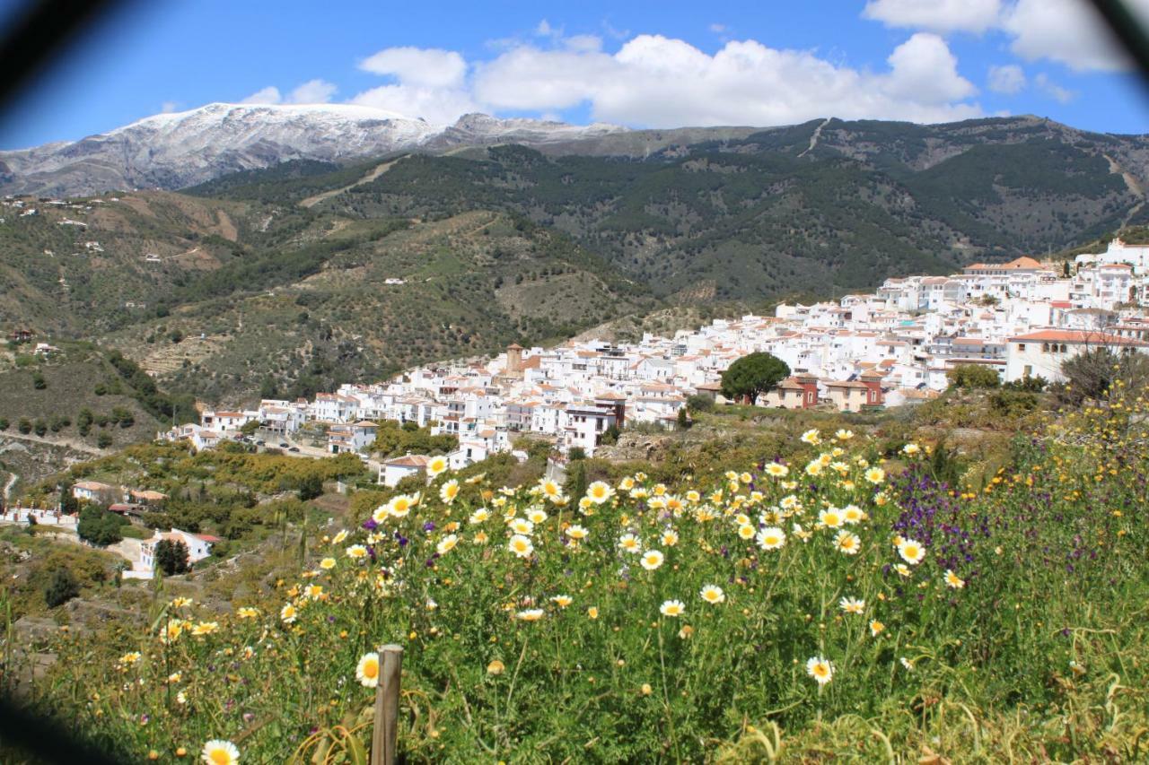 Casadubislav Apartamento Canillas de Albaida Exterior foto